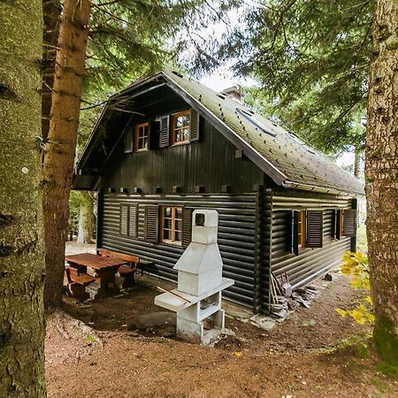 Chalet Liza & Rozi Zgornja Loznica Extérieur photo