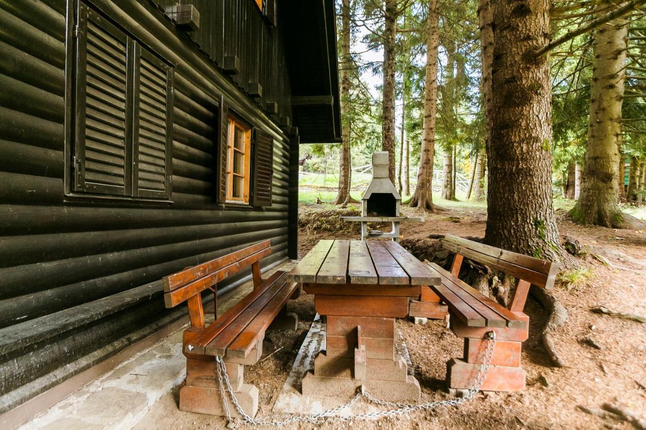 Chalet Liza & Rozi Zgornja Loznica Extérieur photo